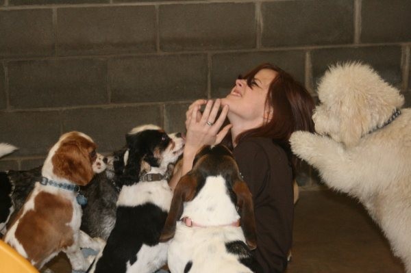 Xxdogs sales
